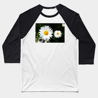 daisies Baseball T-Shirt
